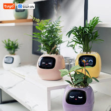Load image into Gallery viewer, Tuya Ivy Smart Planter - My Potted Pal™ in pastel colors on a desk, combining smart plant care with animated digital expressions.