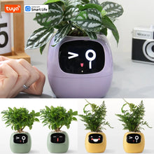 Load image into Gallery viewer, Tuya Ivy Smart Planter - My Potted Pal™ in various colors with expressive faces, perfect for smart plant care and playful home aesthetics.