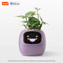 Load image into Gallery viewer, Purple Tuya Ivy Smart Planter - My Potted Pal™ featuring a smiling digital face, designed for smart plant care with app integration.