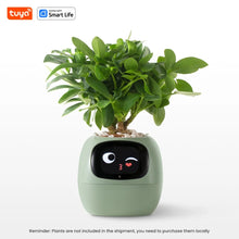 Load image into Gallery viewer, Green Tuya Ivy Smart Planter - My Potted Pal™ with animated winking face, compatible with Smart Life app for interactive plant monitoring.